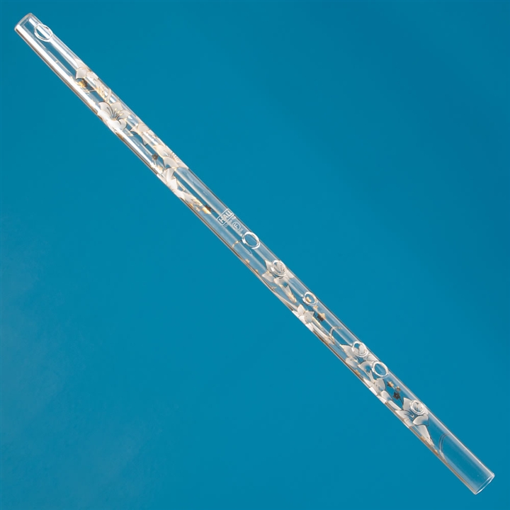 Crystal Glass Flute in F at The Music Stand